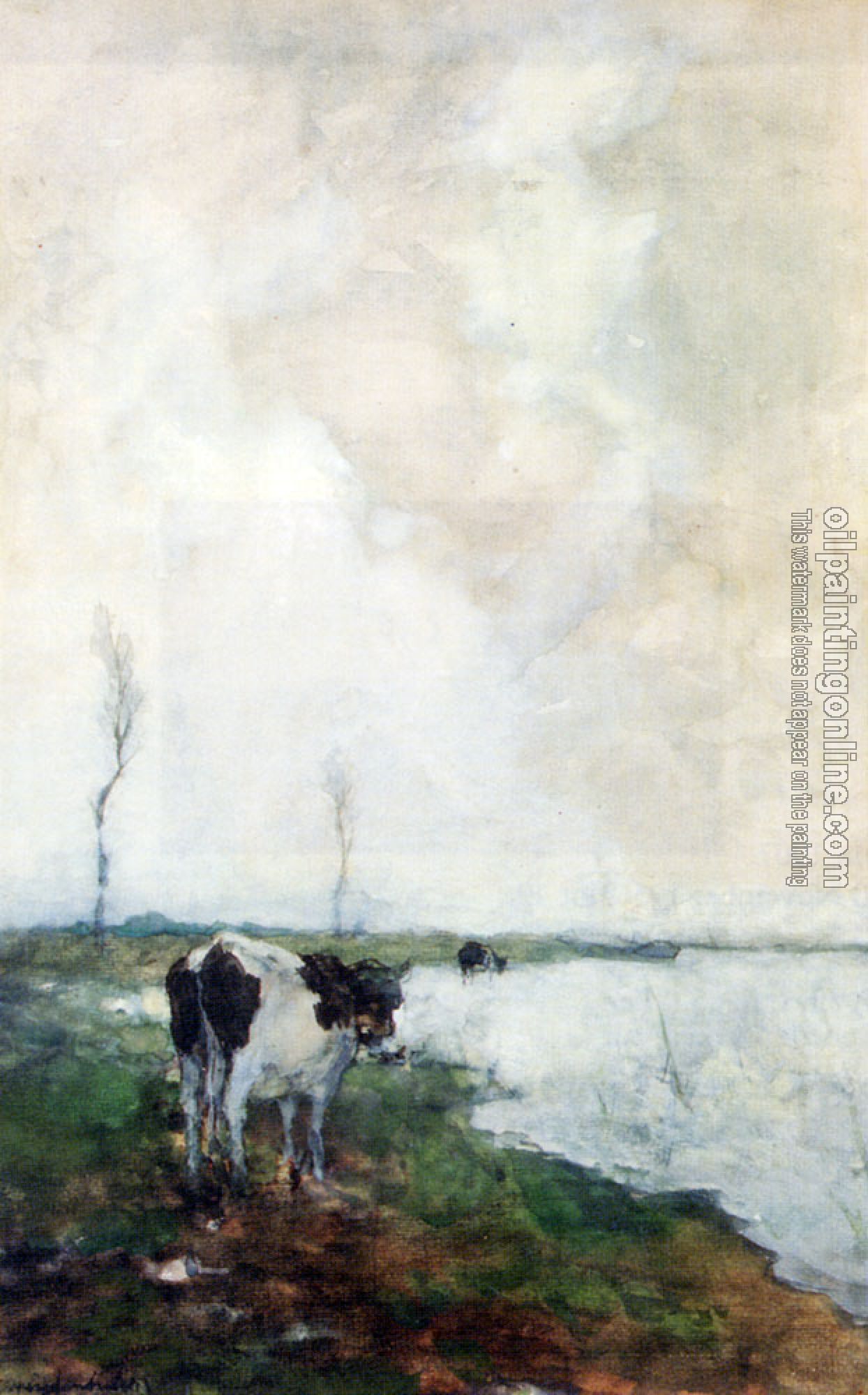 Weissenbruch, Jan Hendrik - A Cow Standing By The Waterside In A Polder